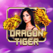 Dragon Tiger live table on jl6 games